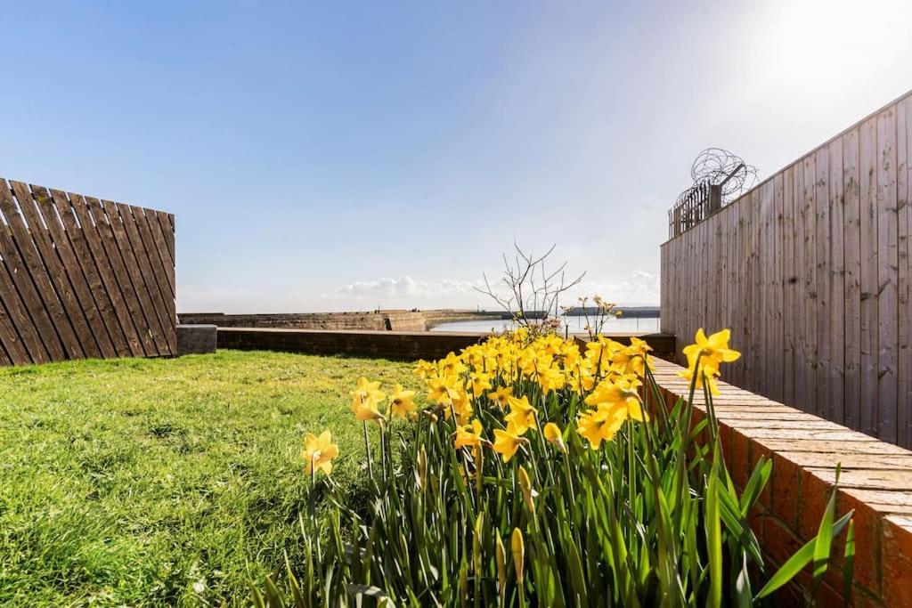 Stunning Ground Floor Hartlepool Marina Apartment Εξωτερικό φωτογραφία